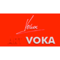 45.voka.at