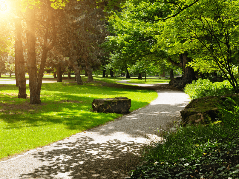 Park